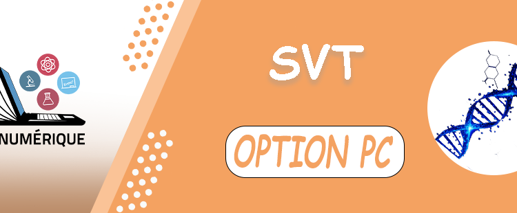SVT – Option PC
